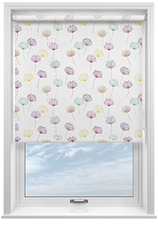 Daphne, Siesta - Roller Blind